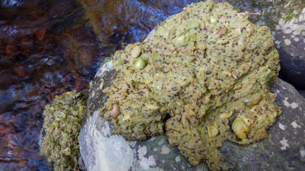 山の実りを食べた熊のフン